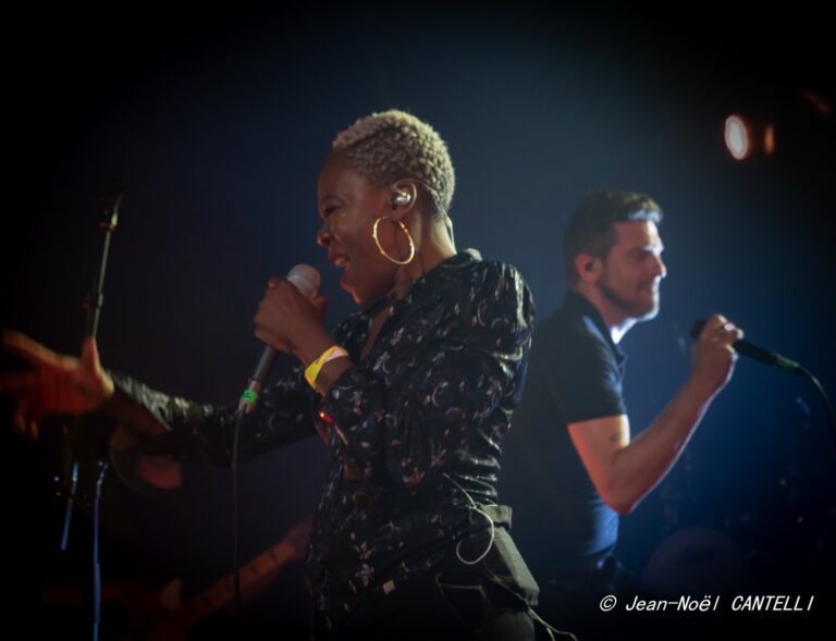 Mondial Stéréo Les Hurlements d'Léo